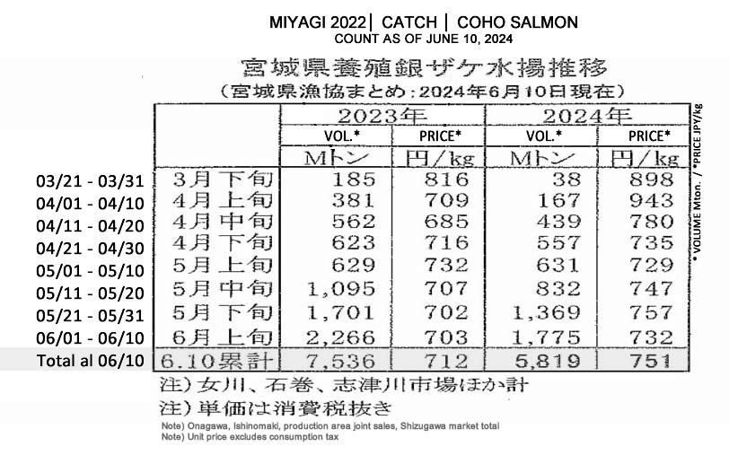 ing-Miyagi-Captura de silver salmon FIS seafood_media.jpg